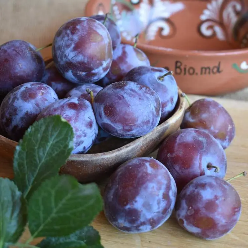 Сливы свежие Кабардинка, органические, 7 кг, ящик
